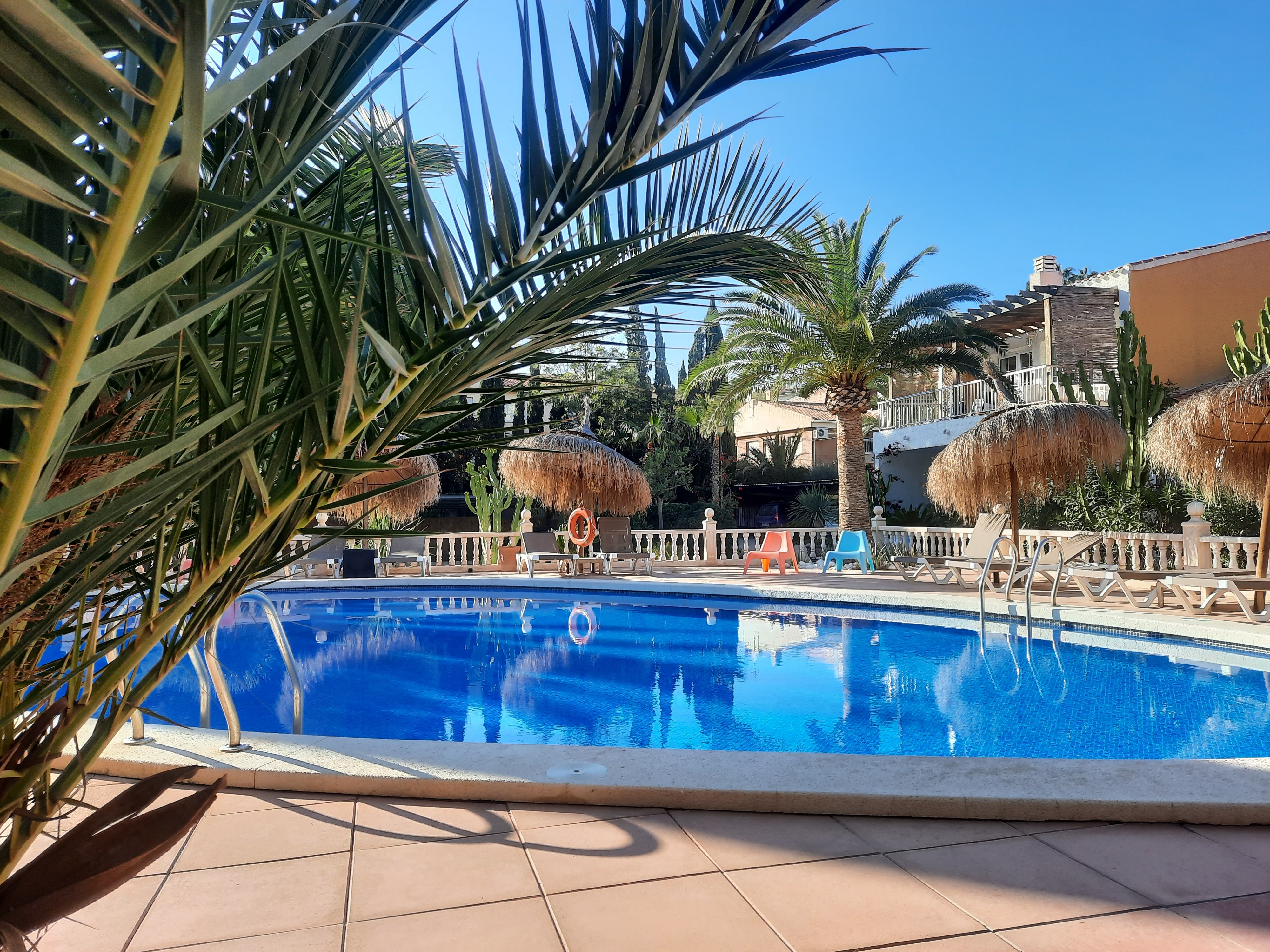 Pool in Las Palmeras